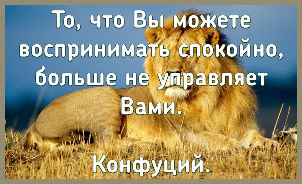 Вы можете в. То что вы можете воспринимать спокойно больше не управляет вами. Больше не управляет вами. То что вы воспринимаете спокойно больше не управляет вами. То что больше не управляет вами.