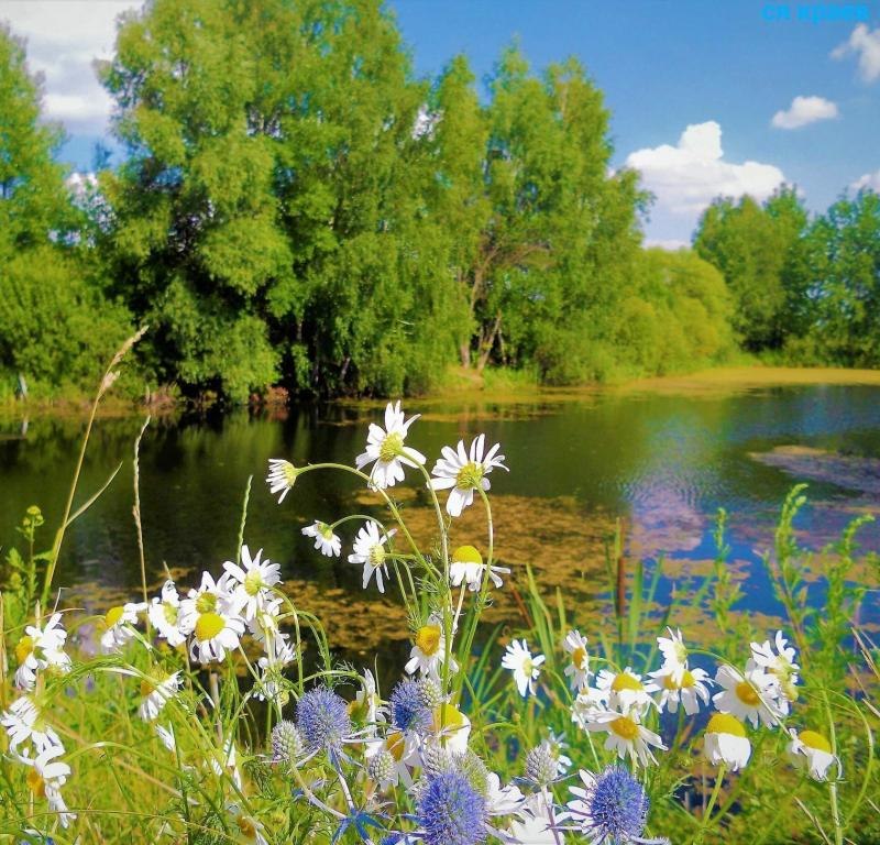 Странно мы все время были в городе одном