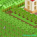 ���� ��������, ������ - ��������� 15 ������� 2011