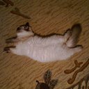   ( ),  -  22  2012     Ҹ!!!