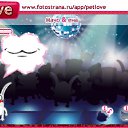 ���� Wiatcheslaw, ������, 51 ��� - ��������� 25 ������� 2010 � ������ �PetLove�