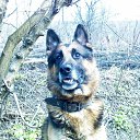 ���� ���������, ��������������, 67 ��� - ��������� 9 ���� 2010 � ������ �� � ��� ����