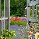 ���� ����� - ���������� ��������!!!, �����������, 56 ��� - ��������� 4 ������ 2010 � ������ �����ۻ