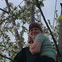 ���� ���, ������, 51 ��� - ��������� 26 ������� 2012 � ������ ���� ����������