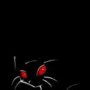 ���� ������, �����-���������, 38 ��� - ��������� 11 �������� 2012 � ������ �������