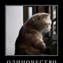 ���� ���, ������ - ��������� 6 ������ 2010 � ������ ������ �����