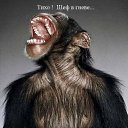 ���� ���, ���, 25 ��� - ��������� 14 ������ 2010 � ������ ���������