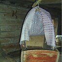 ���� �����, �����, 43 ���� - ��������� 13 ������� 2011 � ������ ���������