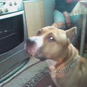 ���� �����, ����-���������, 64 ���� - ��������� 18 ���� 2012