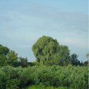 ���� ����, ��������, 45 ��� - ��������� 11 ������� 2011 � ������ �������