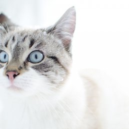 ���� Dasha, ������, 26 ��� - ��������� 18 ������ 2013