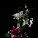 ���� ����� - ���������� ��������!!!, �����������, 56 ��� - ��������� 10 ������ 2010 � ������ ������