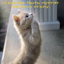 ���� ���, ������ - ��������� 13 ������� 2010 � ������ ������ �����