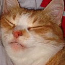 ���� ����, ������, 52 ���� - ��������� 8 ���� 2010 � ������ ���� ����������