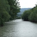  , , 41  -  23  2010   ~   ~