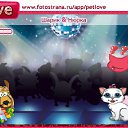  Maksym, , 48  -  9  2011   PetLove