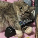 ���� ���������, ������, 63 ���� - ��������� 19 ������ 2011 � ������ ���� ����������