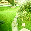  Holy,  -  26  2011   