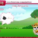 ���� ������ ������, ������, 58 ��� - ��������� 30 �������� 2010 � ������ �PetLove�