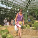 ���� �������, ����� - ��������� 21 ������ 2013 � ������ ���� ����������