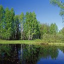 ���� ����. ��������� �� ��!, ������, 72 ���� - ��������� 13 ������ 2011 � ������ ��������