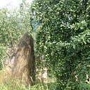 ���� Kseopatra, �������������� - ��������� 5 ������� 2010 � ������ �������