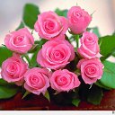 ���� Vladimir, �������, 55 ��� - ��������� 10 ����� 2013 � ������ ���� ����������