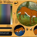 ���� �����, ������ - ��������� 13 ������� 2012 � ������ �PetLove�