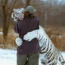 ���� ������, ������, 42 ���� - ��������� 9 ���� 2013 � ������ ���� ����������