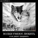 ���� ����, ������, 40 ��� - ��������� 26 ������ 2012 � ������ ���� ����������