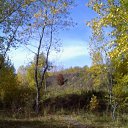 ���� ��������, �����������, 59 ��� - ��������� 9 ������ 2011 � ������ �������