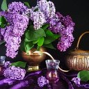 ���� �������, ��� - ��������� 26 ������ 2013 � ������ �������....�