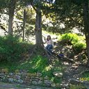 ���� ����, ��������������, 37 ��� - ��������� 9 ��� 2010 � ������ ���� ����������