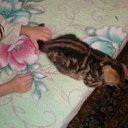 ���� ��� ����� :D, ����� - ��������� 24 ������ 2012 � ������ ���� ����������