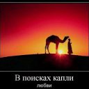 ���� ����, �����, 45 ��� - ��������� 11 ������� 2012 � ������ ���� ����������