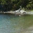 ���� Larisa, �������, 61 ��� - ��������� 28 ���� 2013 � ������ ����� ��� ������������