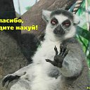���� Pandora, ������, 37 ��� - ��������� 19 ������� 2012 � ������ ���� ����������