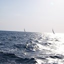 ���� �����, ������, 61 ��� - ��������� 19 ���� 2012 � ������ ���� ����������