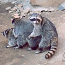 ���� �����-��, ����, 45 ��� - ��������� 20 ������ 2010 � ������ ���� ����� ��, ����� !�