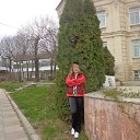 ��������� "������" �� ������� ���� ����������