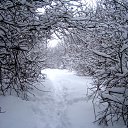 ������ ����... �� ������� ��������