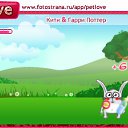  , , 22  -  9  2010   PetLove