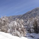 ���� �����, ����, 68 ��� - ��������� 10 ������ 2011