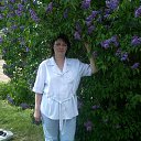 ���� �����, ������ - ��������� 12 ��� 2013 � ������ ���� ����������