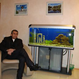 ���� �������, �������, 61 ��� - ��������� 24 ������� 2011