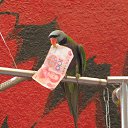 ���� ����, �����������, 56 ��� - ��������� 6 �������� 2012 � ������ ���������� ����)))�