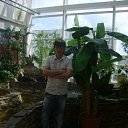 ���� �����, ������, 35 ��� - ��������� 3 ������� 2012 � ������ ���� ����������