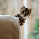 ����� �����?! �� ������� ���� ����������