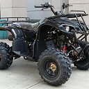 ���� ������, ������, 41 ��� - ��������� 8 ����� 2012