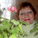 ���� ���������, ����, 61 ��� - ��������� 2 ������� 2011 � ������ ���� ����������